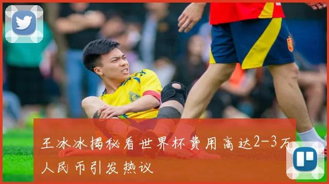 王冰冰揭秘看世界杯费用高达2-3万人民币引发热议