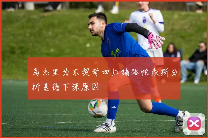 乌杰里为东契奇回归铺路帕森斯分析基德下课原因